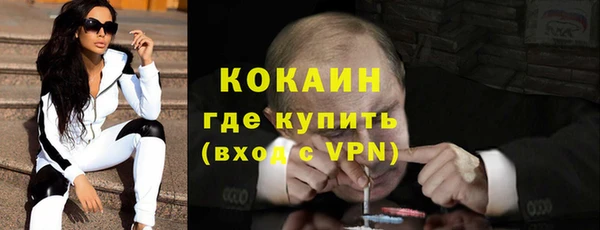 хмурый Пересвет