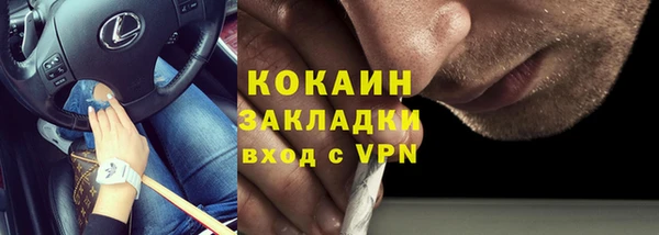 хмурый Пересвет