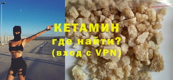 хмурый Пересвет