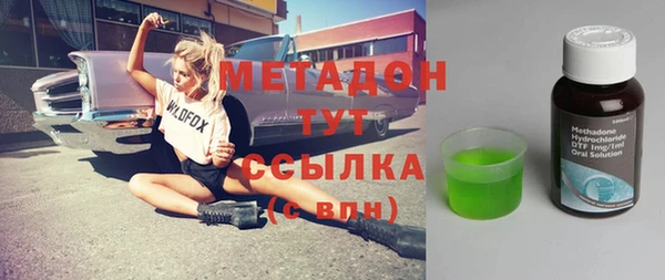 хмурый Пересвет