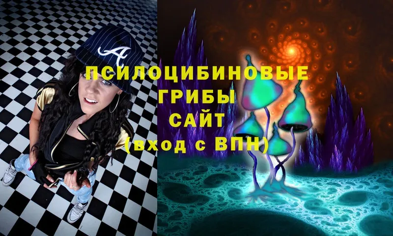 купить   Калининск  мега tor  Галлюциногенные грибы Psilocybe 